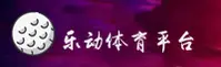 使用指南与常见问题